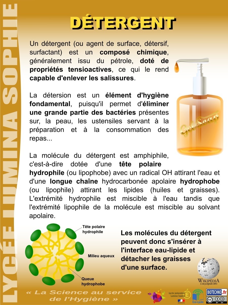 Nettoyage et désinfection [SHR en BTS MHR]