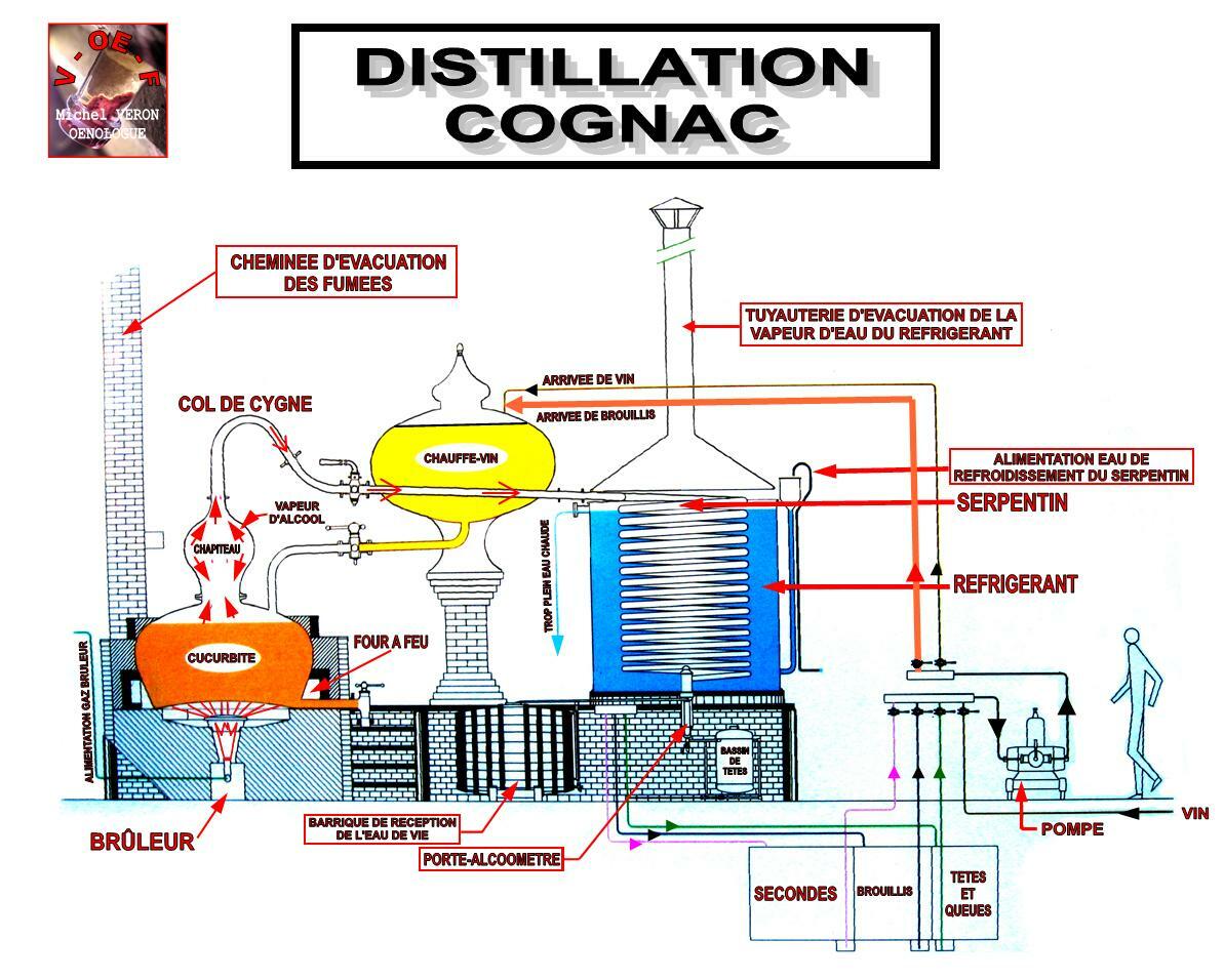 Boisson alcoolis\u00e9e ferment\u00e9e et boisson alcoolis\u00e9e distill\u00e9e [SHR en ...