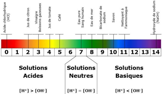 Les Conditions De D Veloppement Et De Multiplication Microbiologie