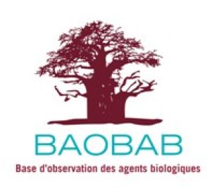 Logo BAOBAB